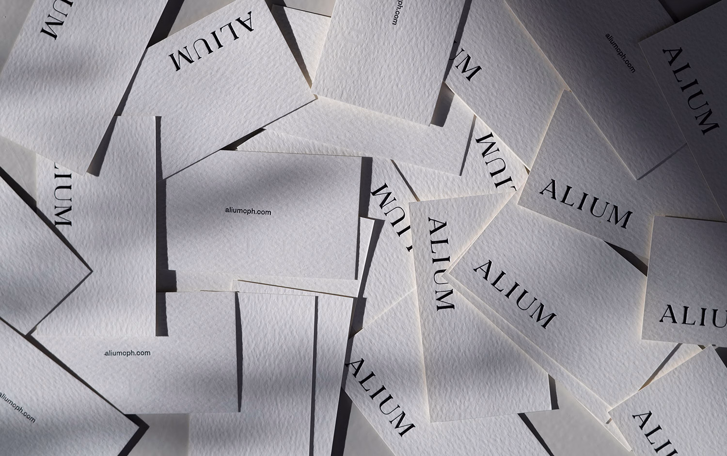 Alium Art Gallery cover image