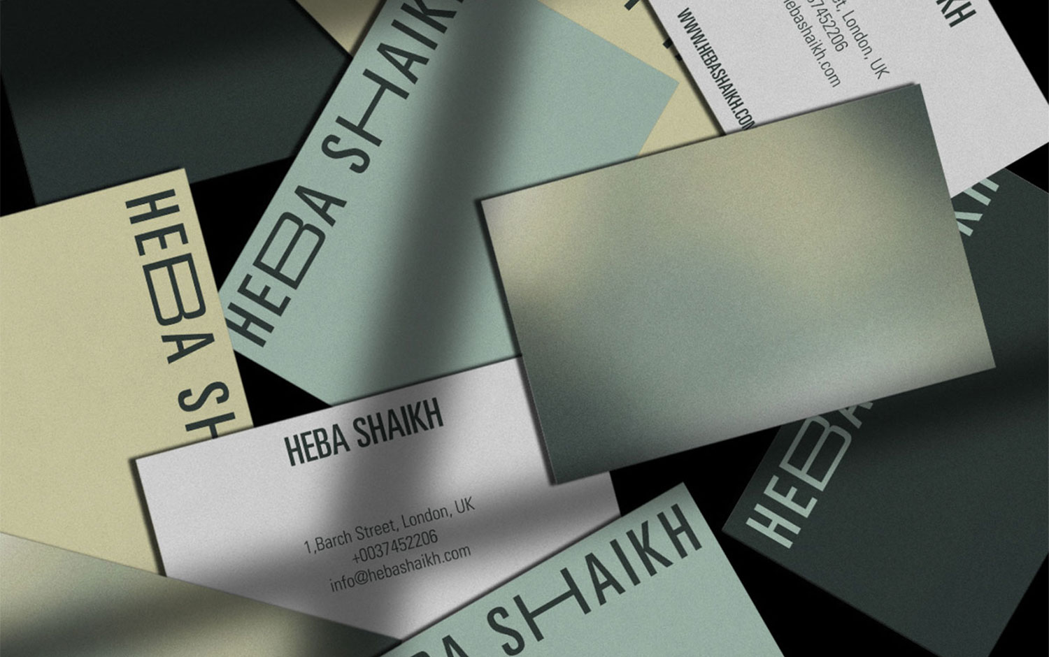 Heba Shaikh cover image
