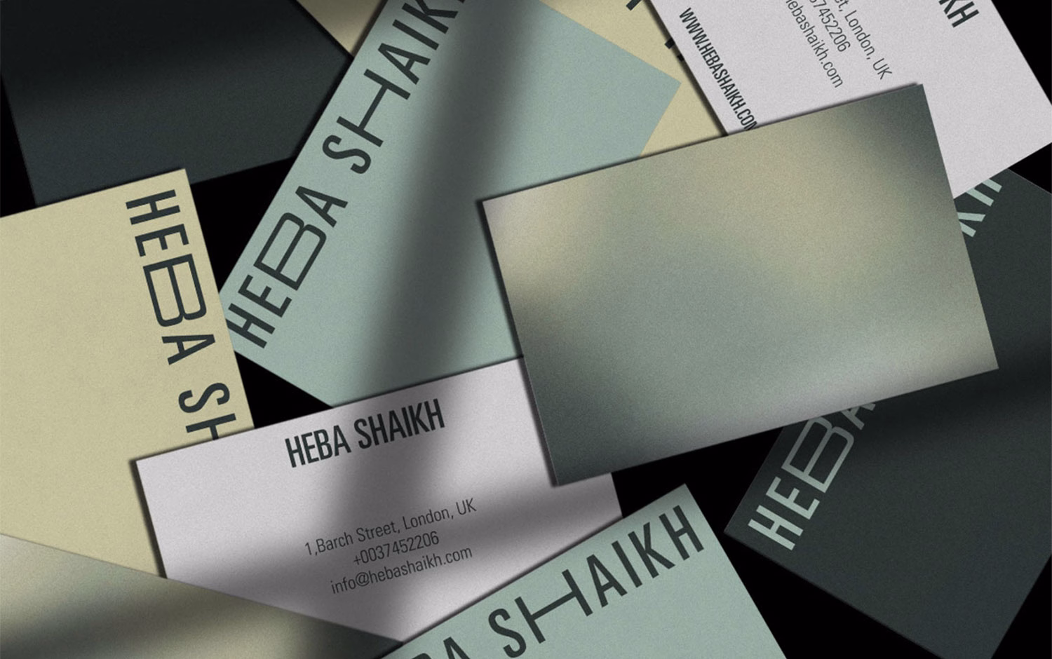 Heba Shaikh cover image