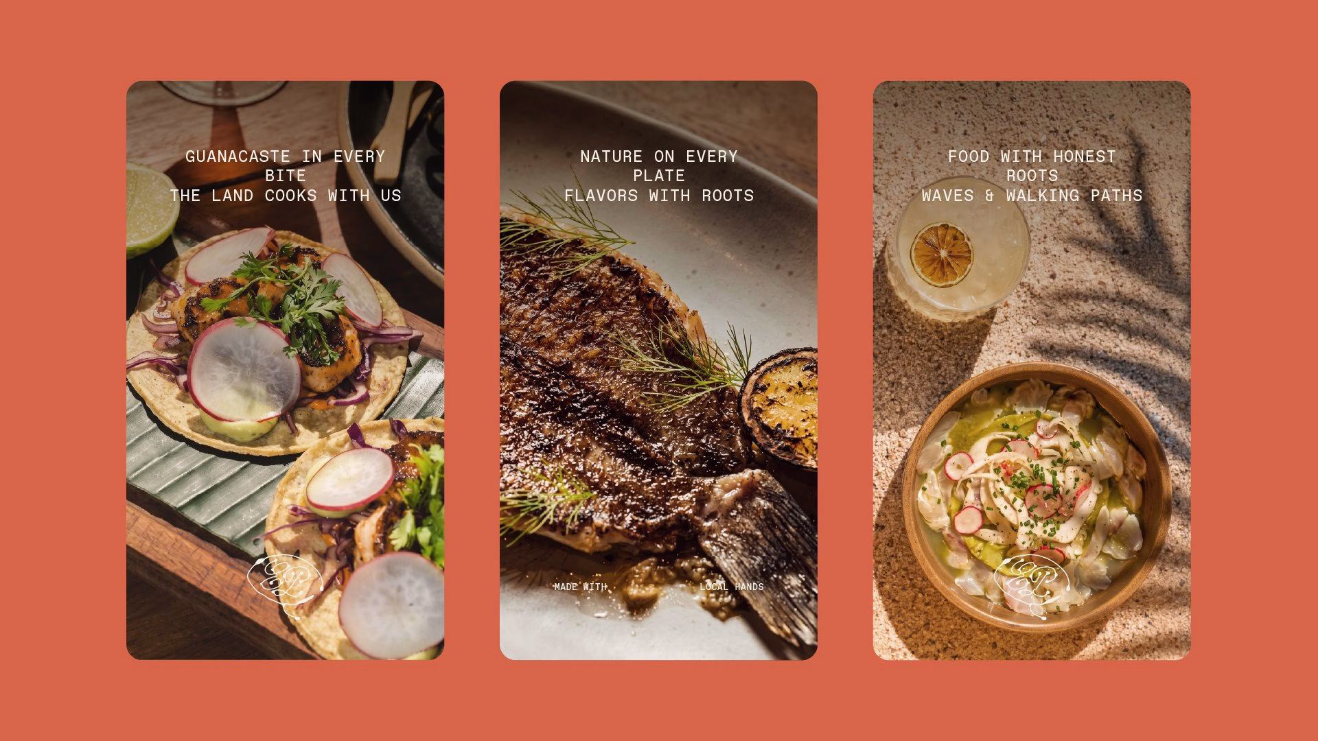 Three plates of vibrant food showcase El Puente's beach restaurant identity, highlighted by earthy colors and textures.