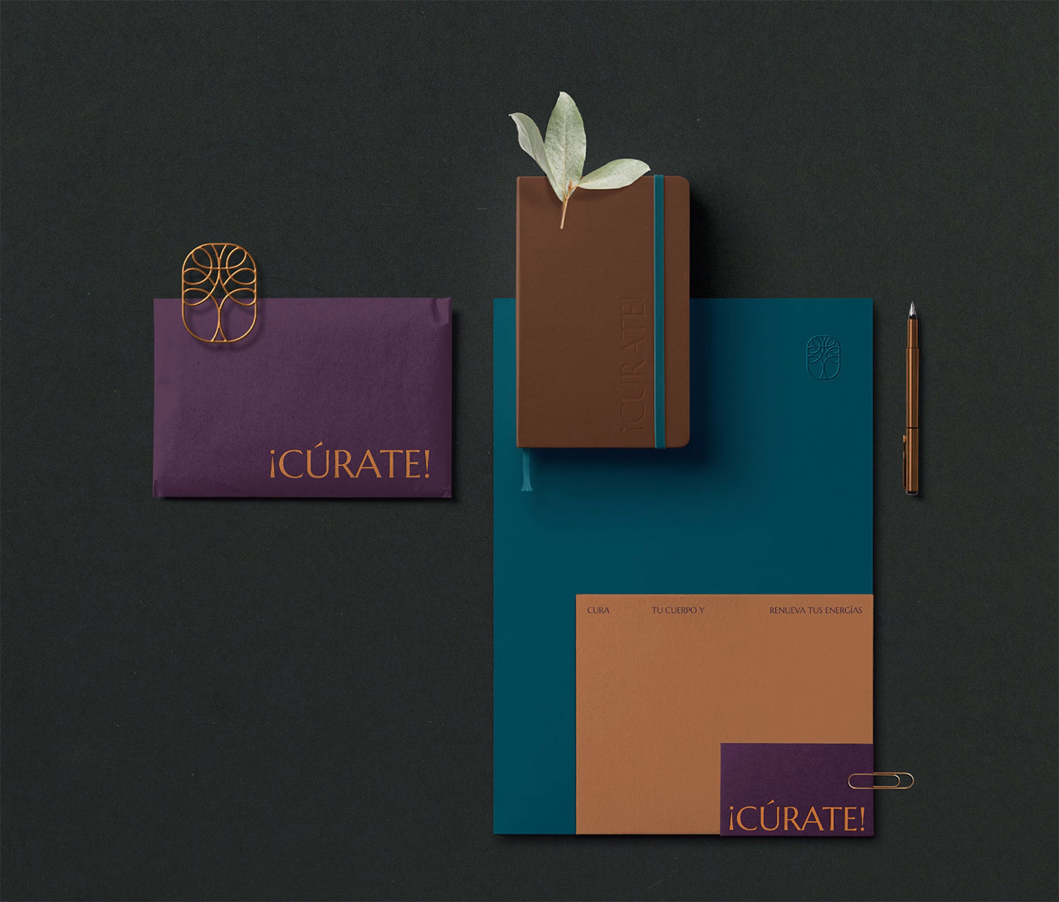 Curate Biofeedback Therapy cover image