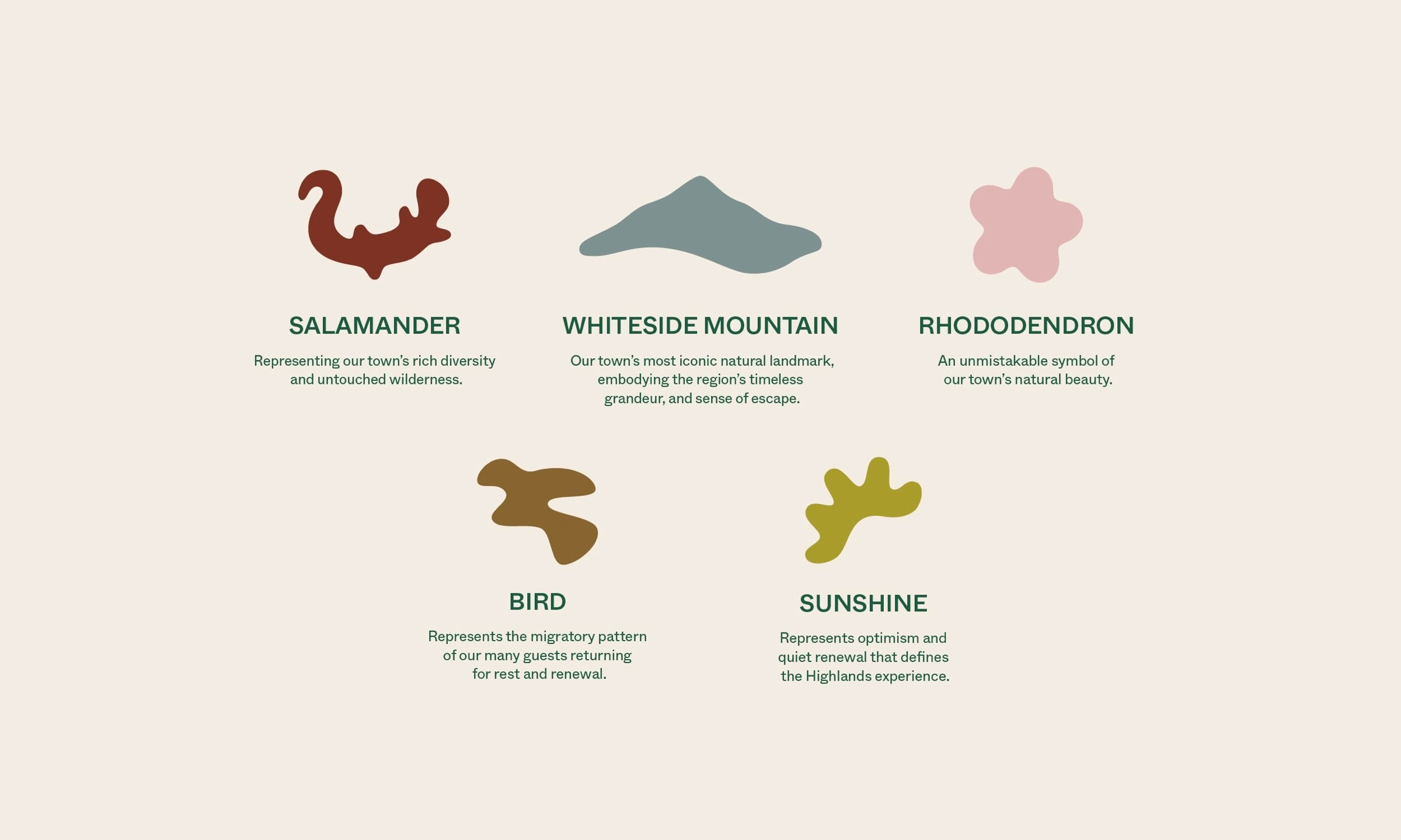 Colorful abstract shapes represent nature-inspired elements for Visit Highlands' destination identity project.