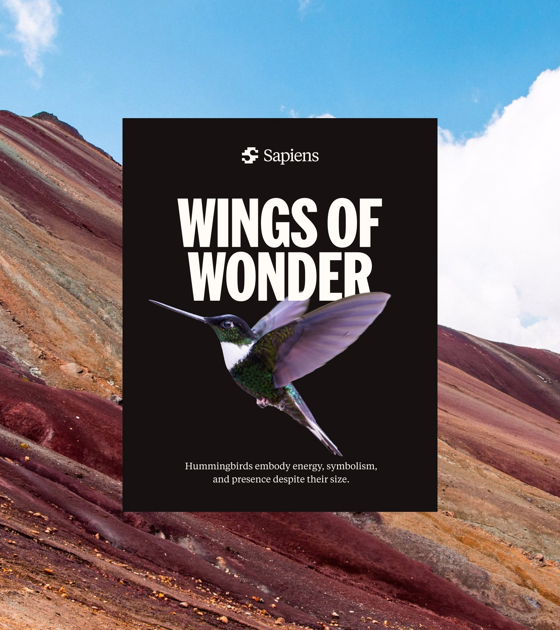 A black poster features a hummingbird with the bold title "Wings of Wonder," set against colorful rocky terrain.