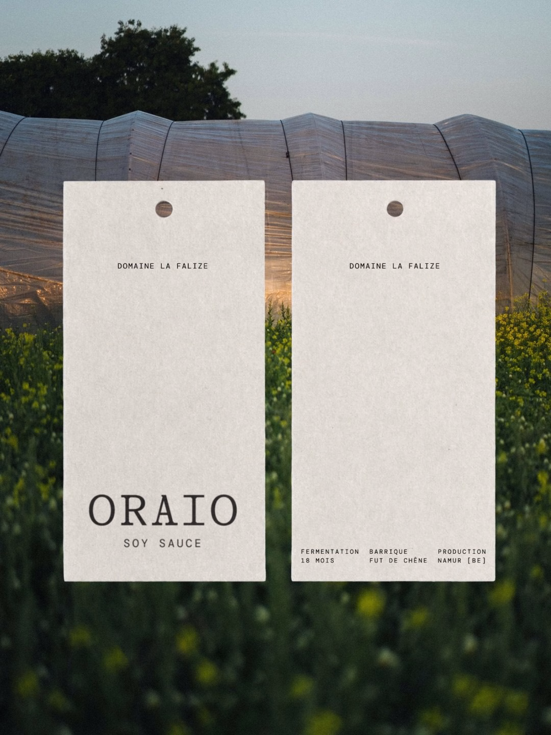Two hanging tags for Oraio soy sauce, featuring a minimalist design with beige color and black typography against a green field.