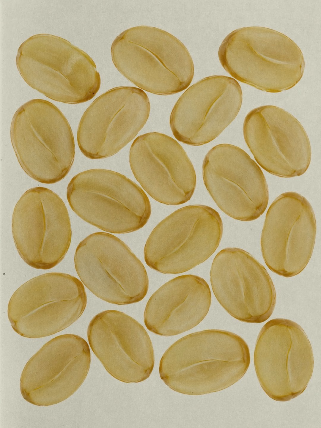 A pattern of light brown, oval seed shapes arranged artistically on a soft, pale background in the Oraio project.