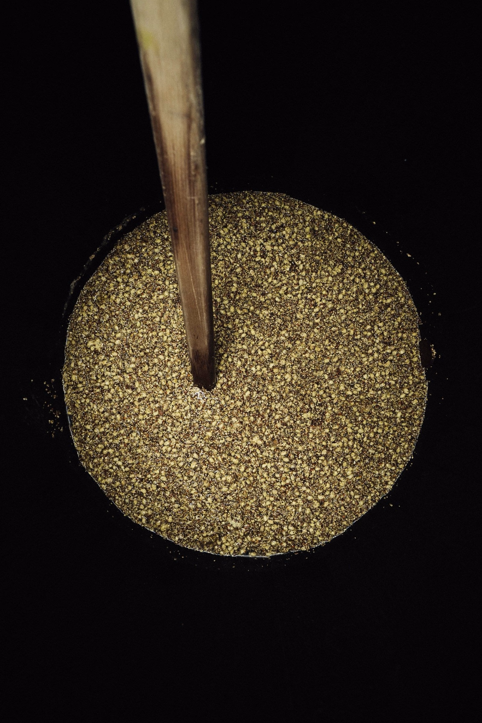 A wooden stick rests in a circular container filled with a textured mixture of grains and seeds against a dark background.
