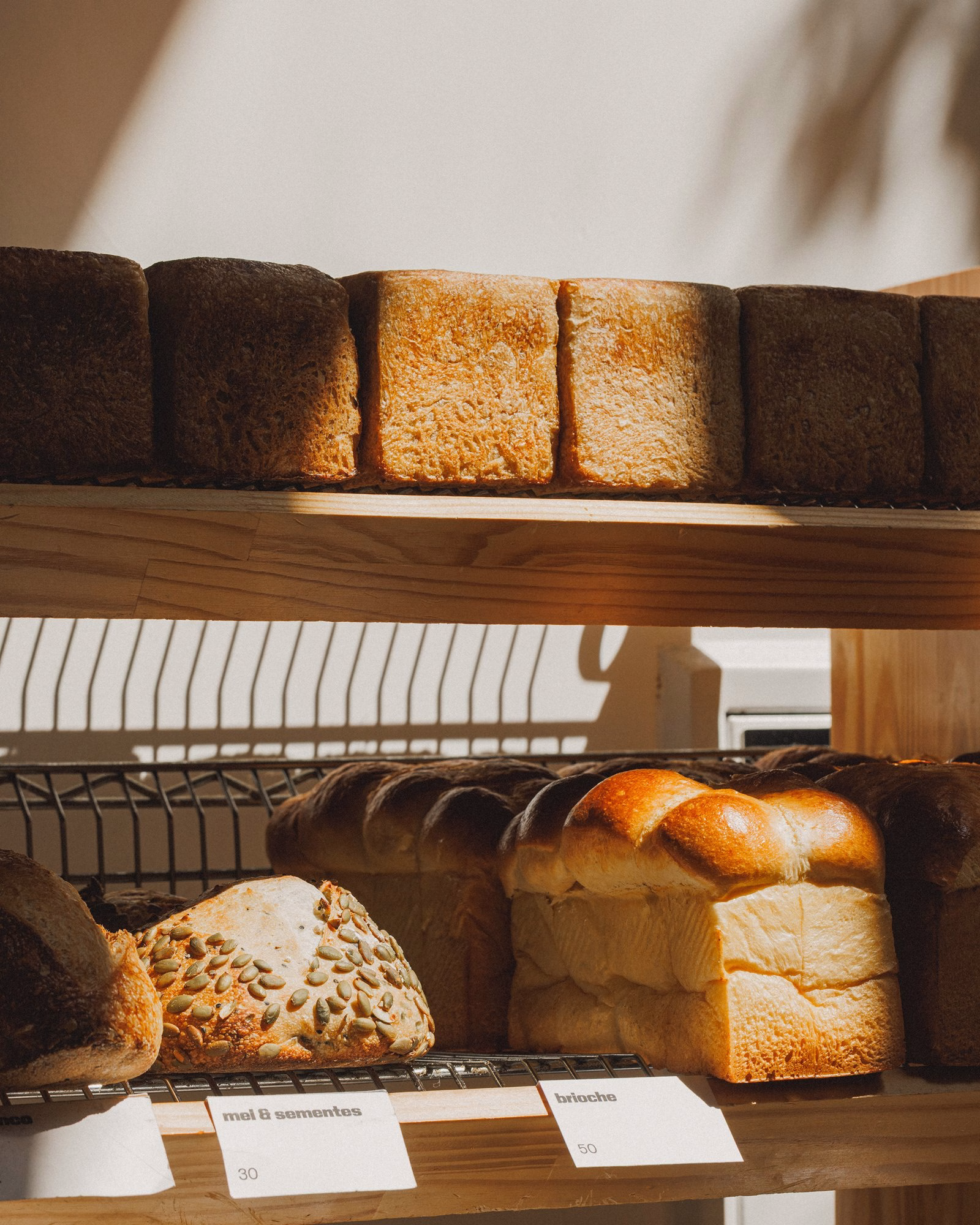 Loaves of artisanal bread on a wooden shelf, showcasing varied textures and golden crusts in warm sunlight.
