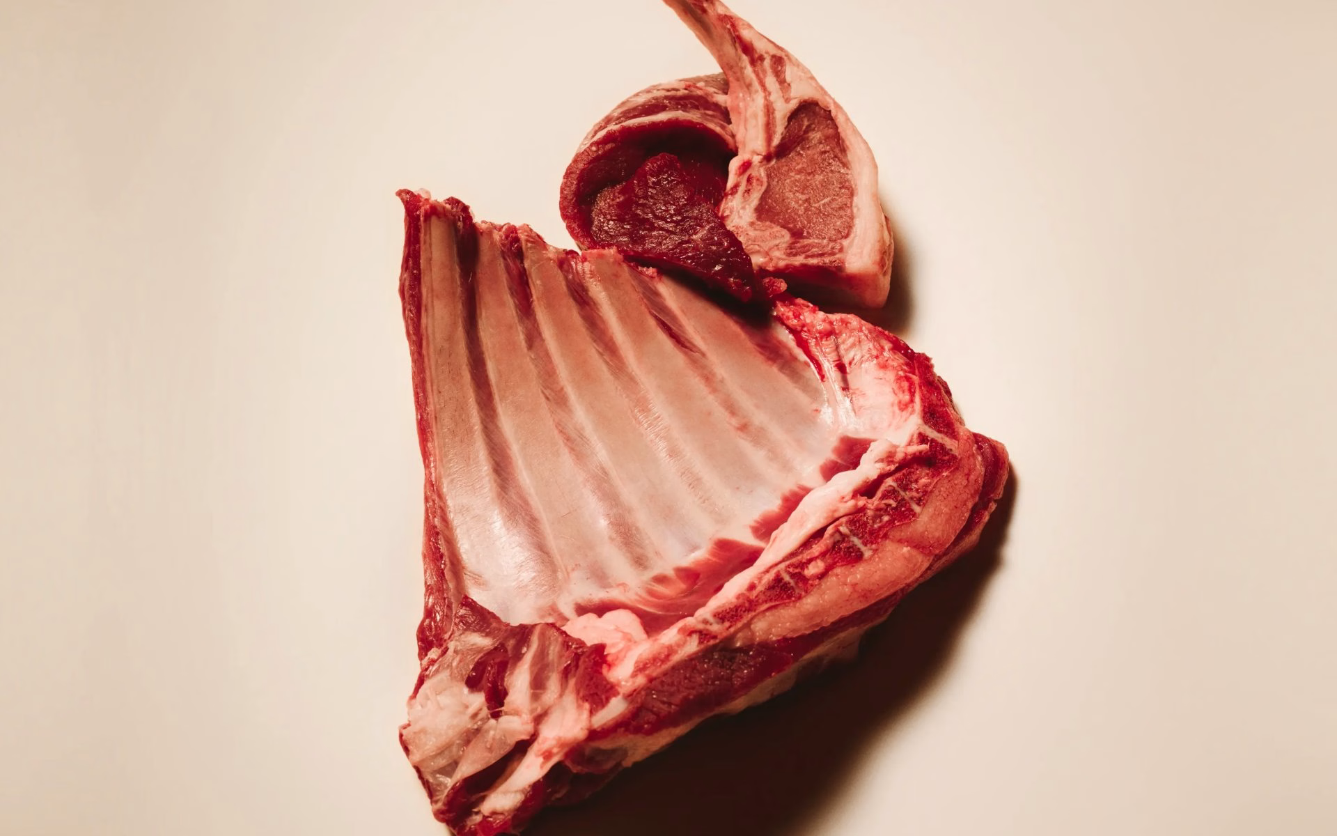 Close-up of raw meat cuts showcasing vibrant red and pale pink tones, featured in Carnilove's branding project.