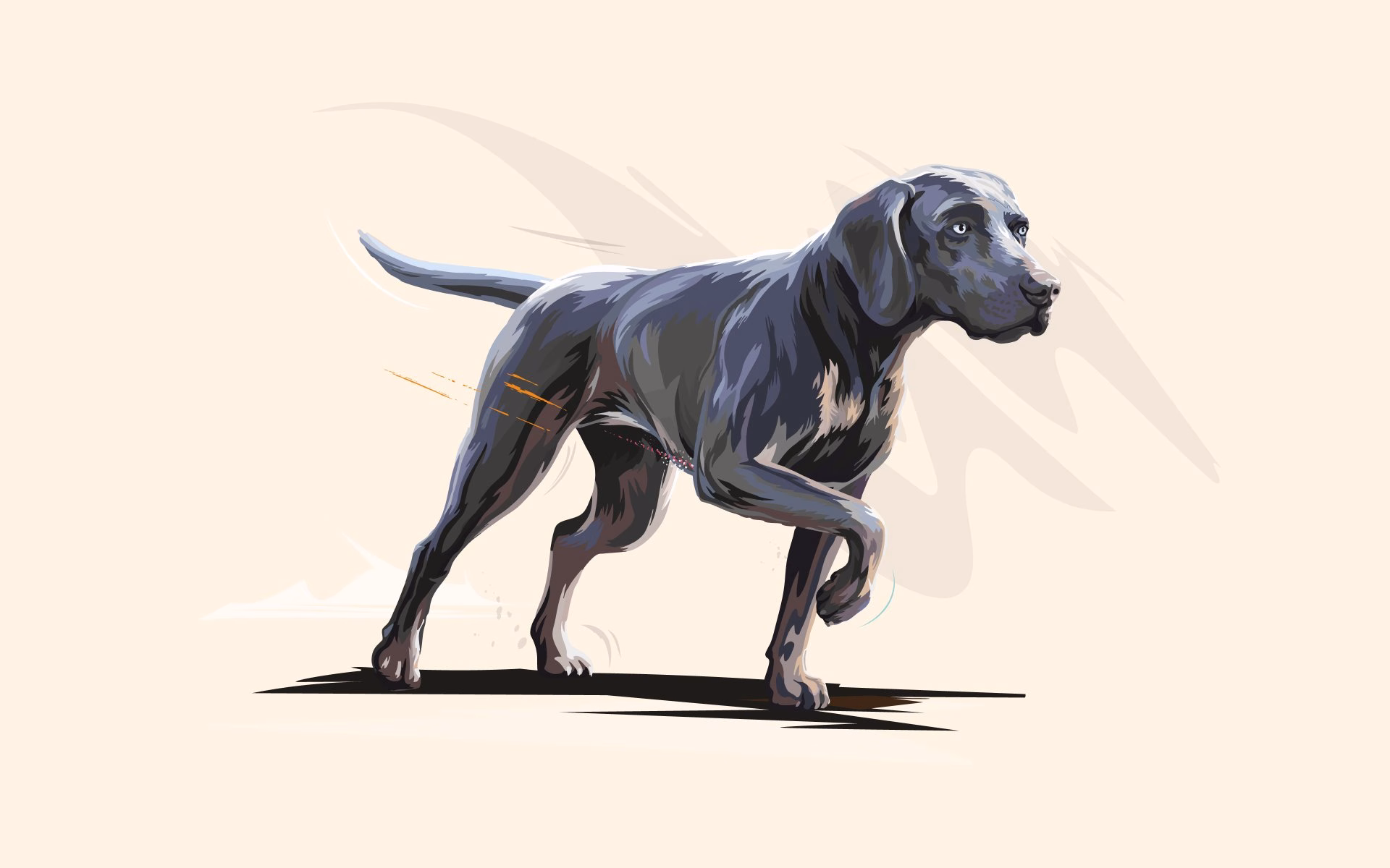 A stylized illustration of a grey dog in motion, featured in a design context for Carnilove pet food branding.