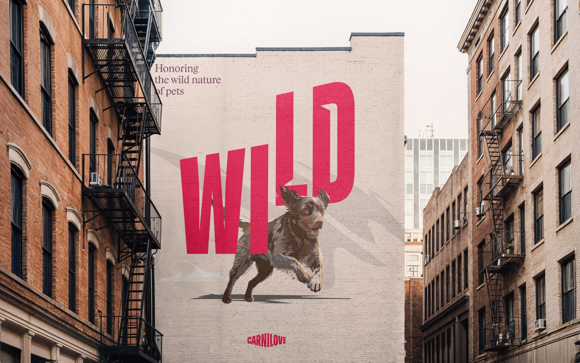 A large mural features the word "WILD" in bold pink typography, alongside an illustration of a running dog for Carnilove.