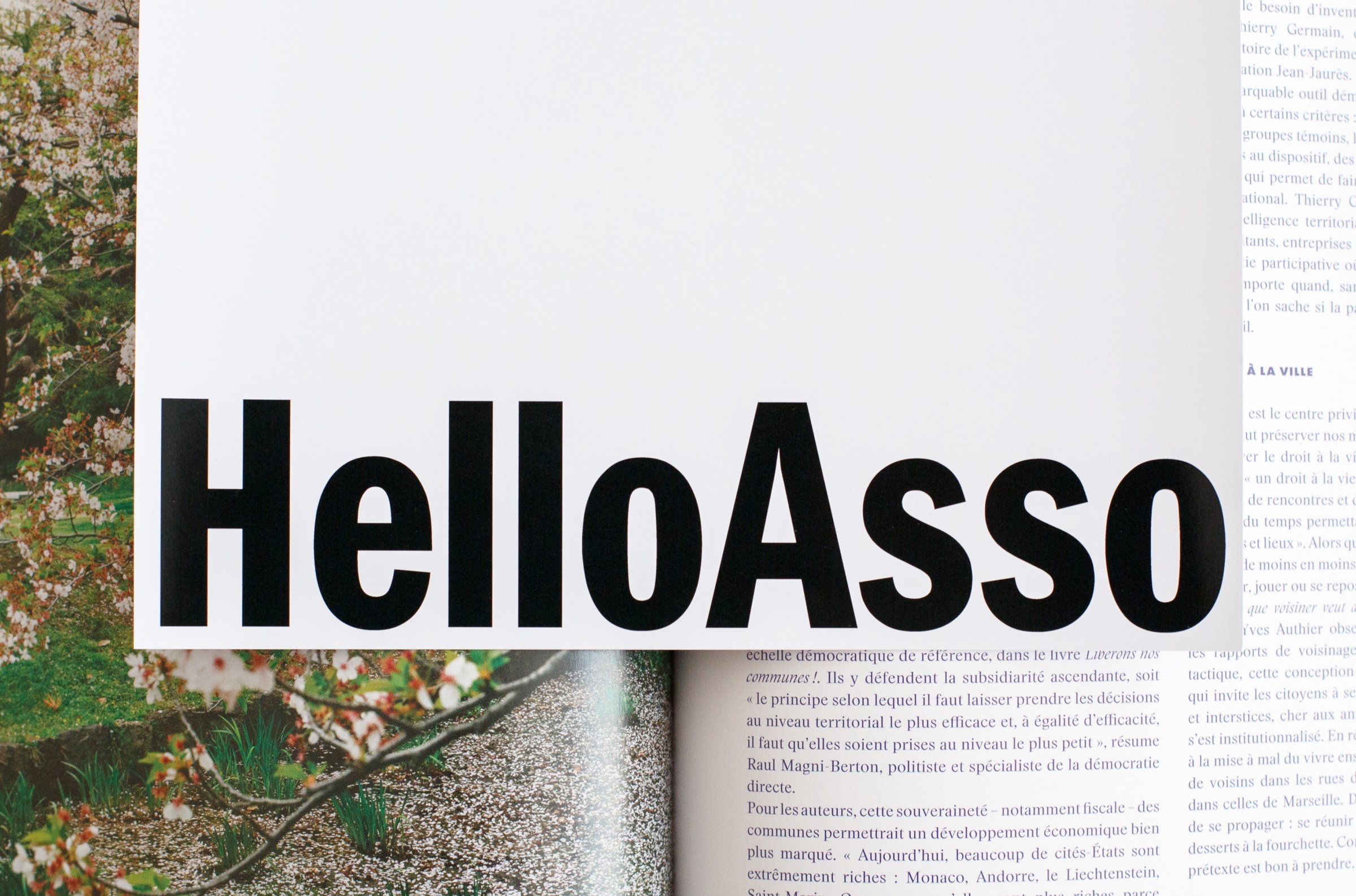 The bold black text "HelloAsso" overlays a partially visible page with floral imagery and text from a design magazine.