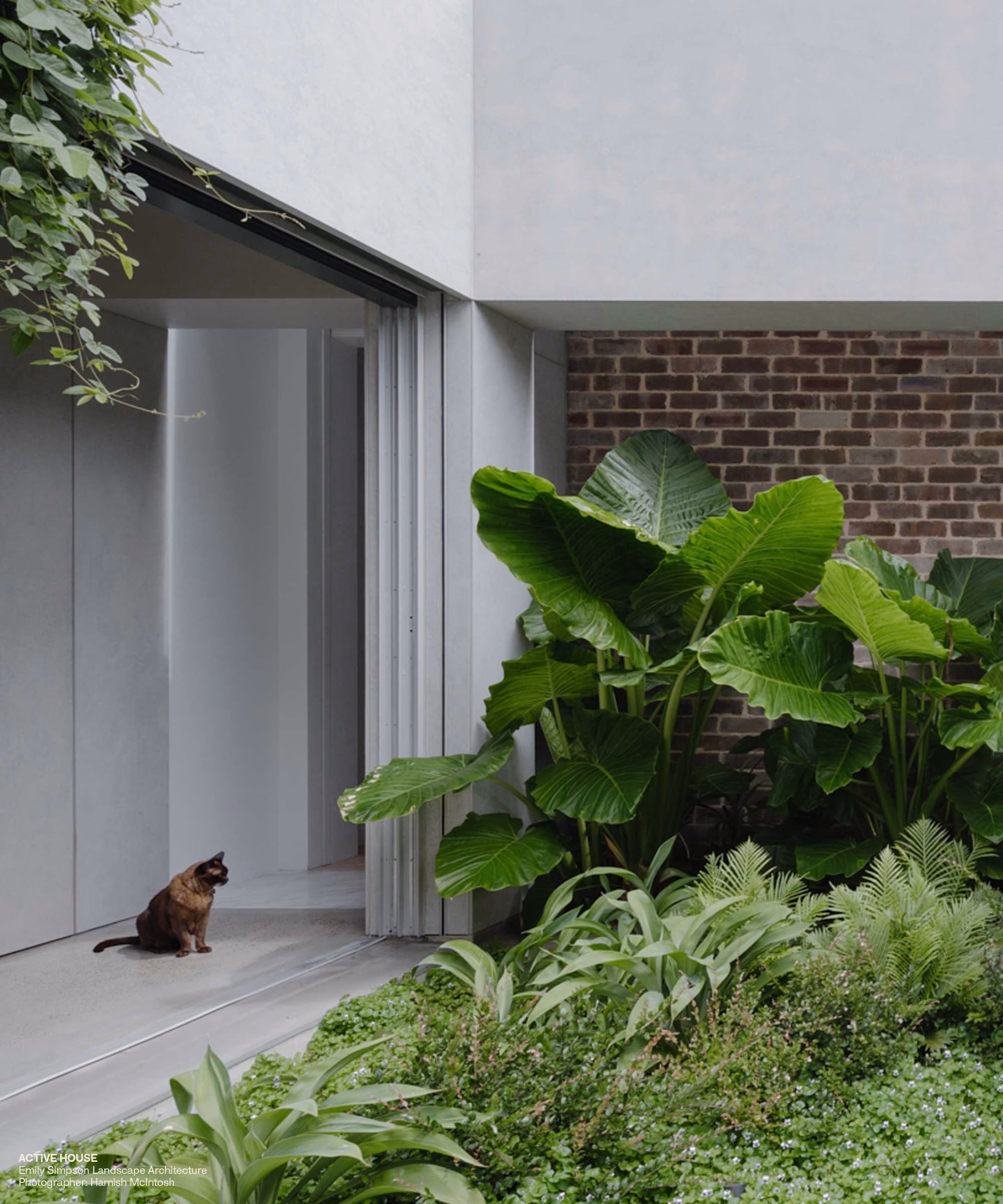 A brown cat sits beside lush greenery near a smooth, light gray architectural entrance.