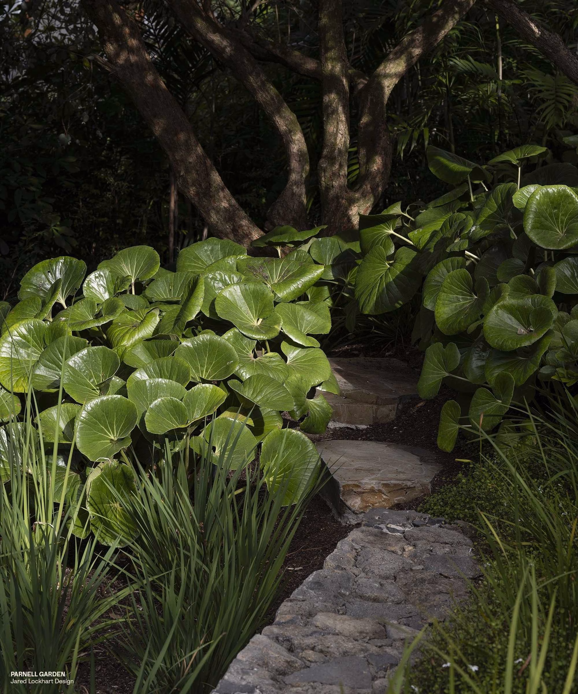 Lush greenery and textured stones create a serene pathway in the Atlas Garden project by Ofform Studio.