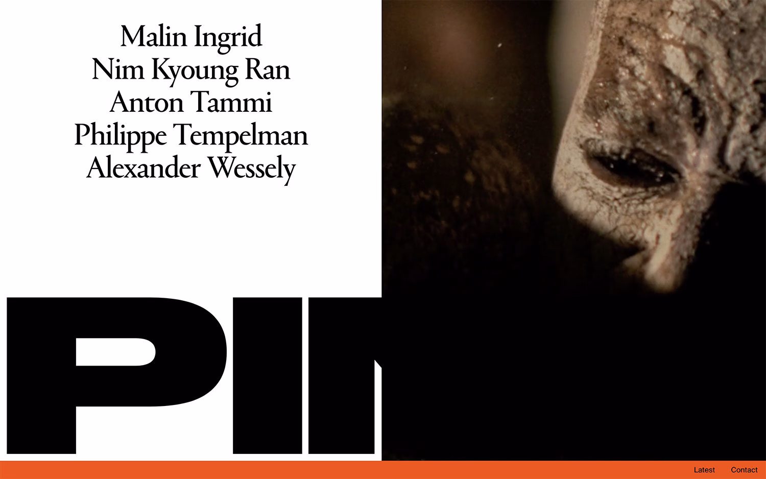 PINE cover image