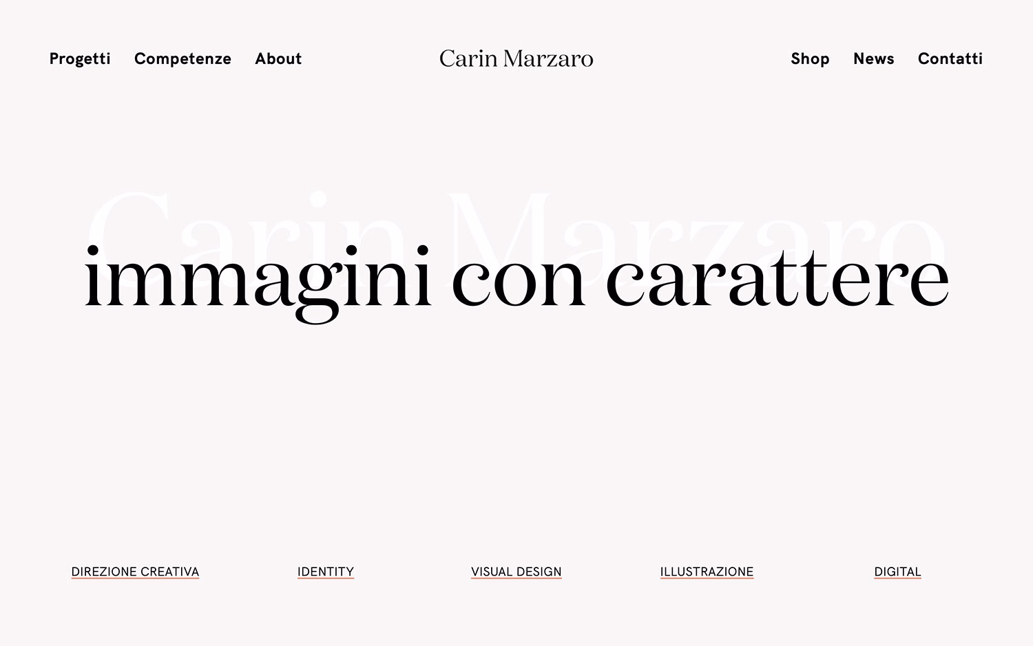 Carin Marzaro cover image