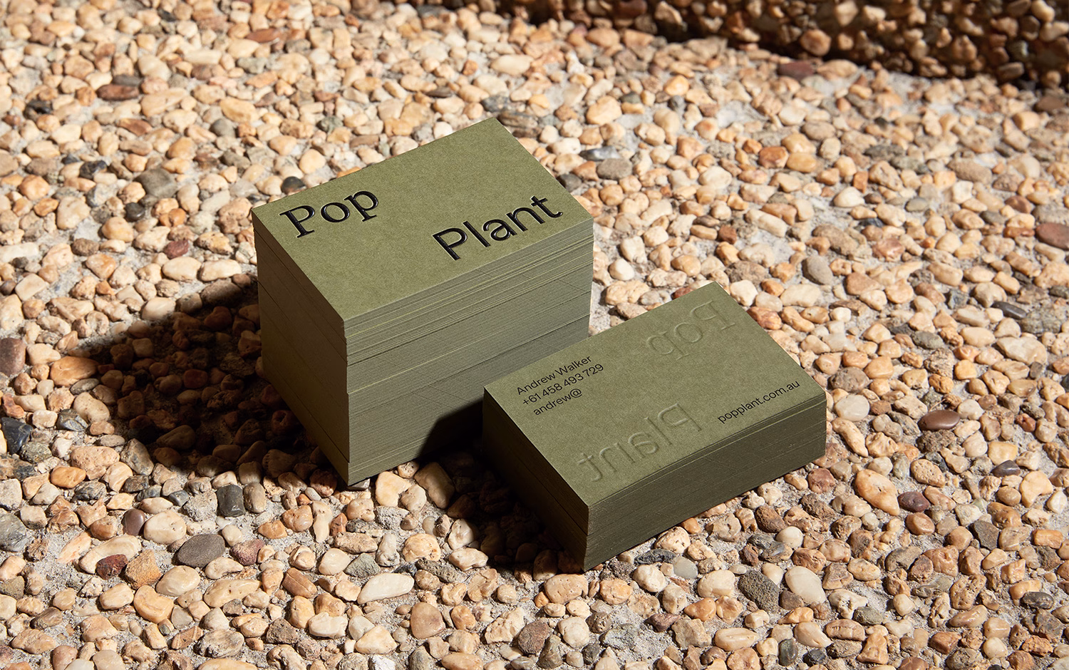 Pop Plant cover image