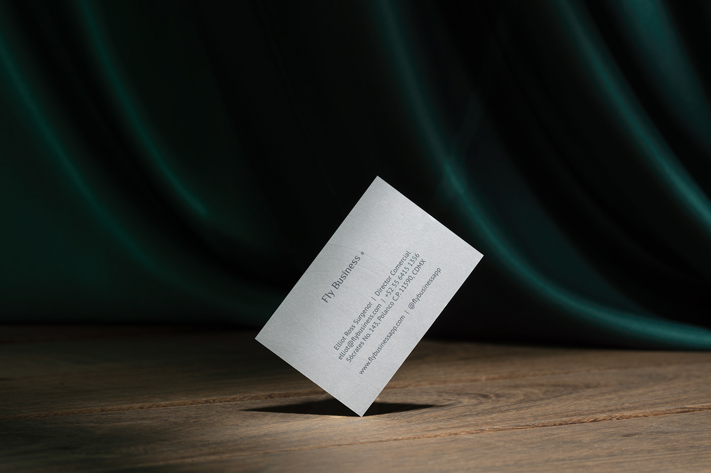 Fly Business cover image