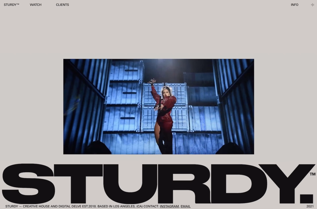 STURDY. cover image