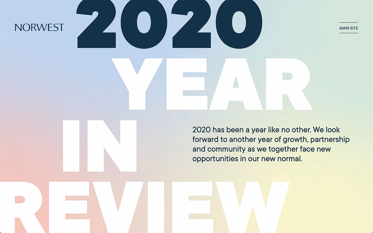 NVP 2020 Year in Review cover image