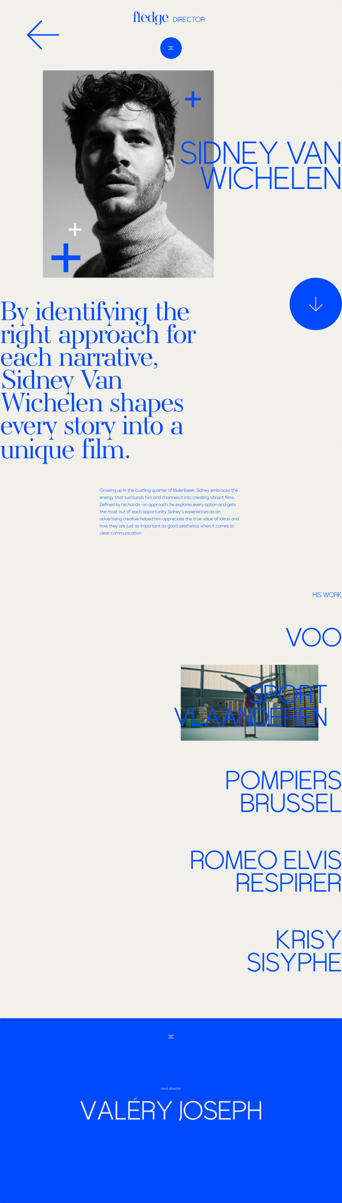 Fledge cover image