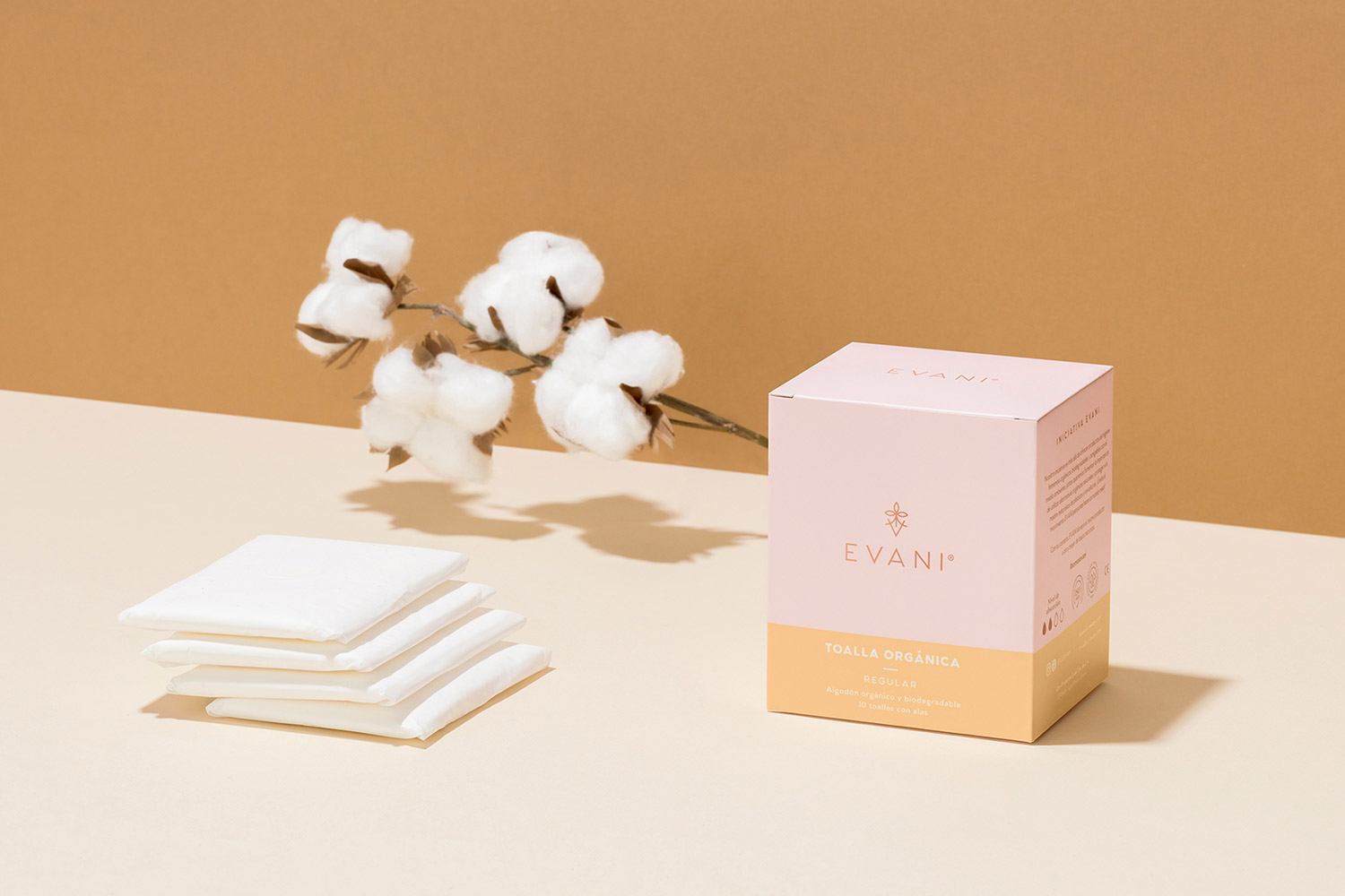 evani cover image