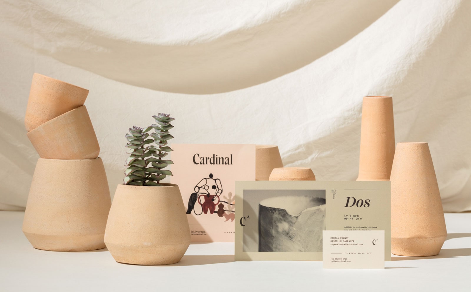 Cardinal cover image