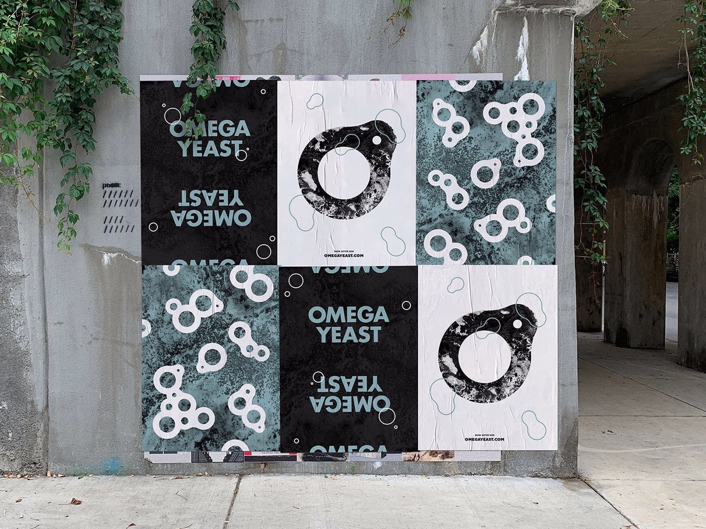 Omega Yeast cover image