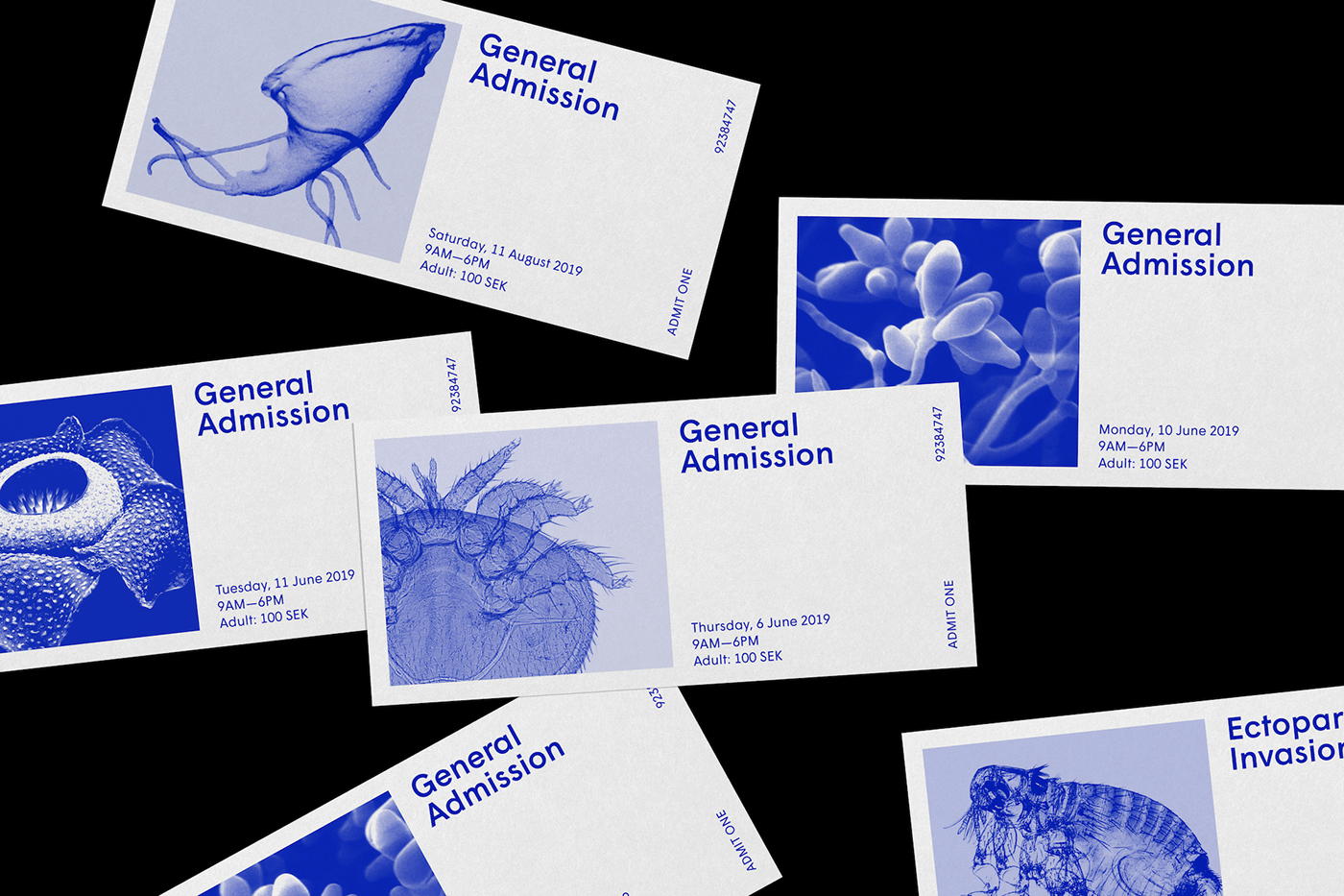 MoPS Museum cover image