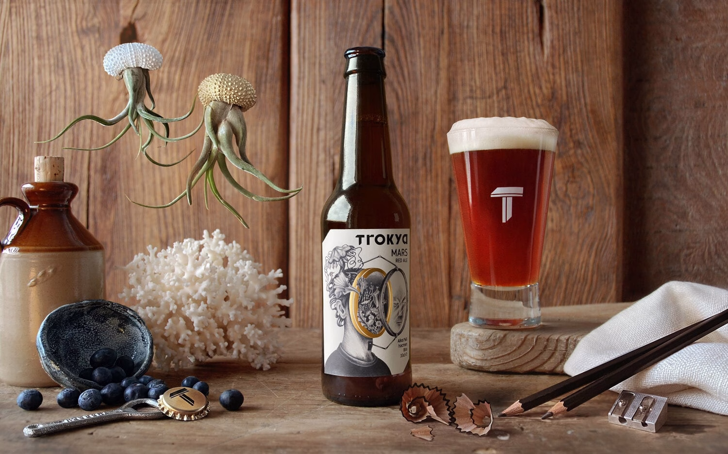 Trokya beer cover image
