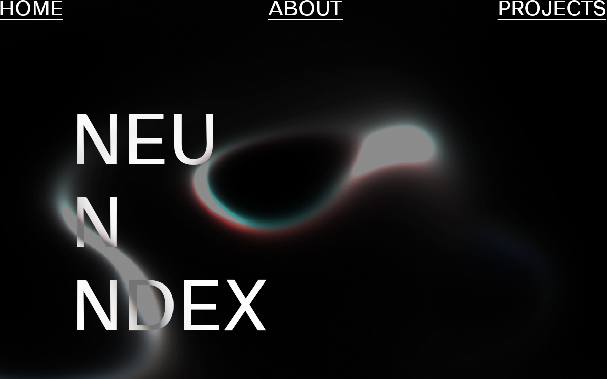 Neundex cover image
