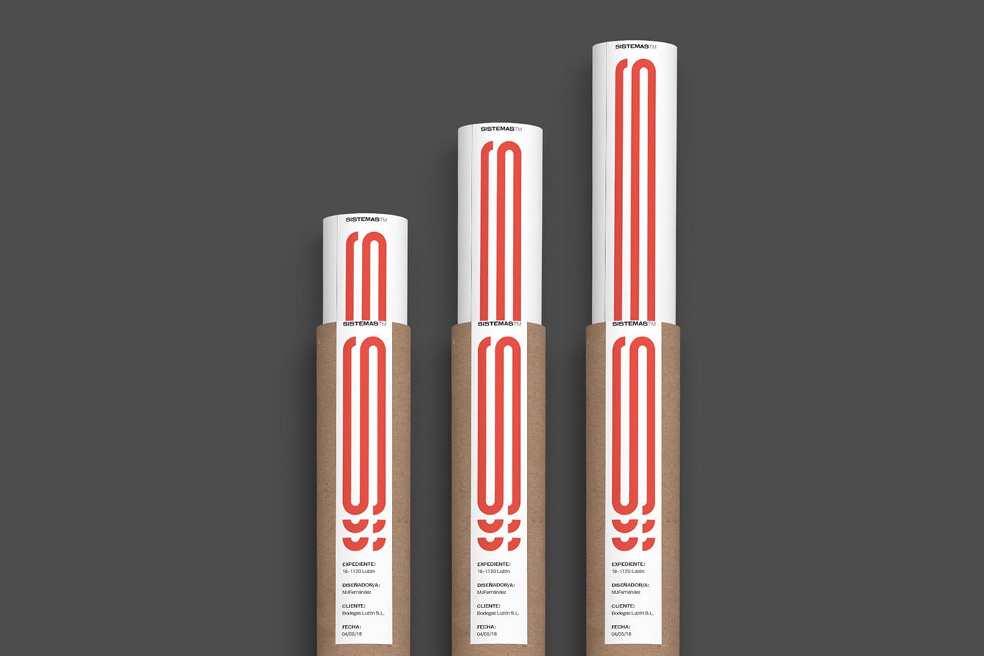 SISTEMAS TM cover image