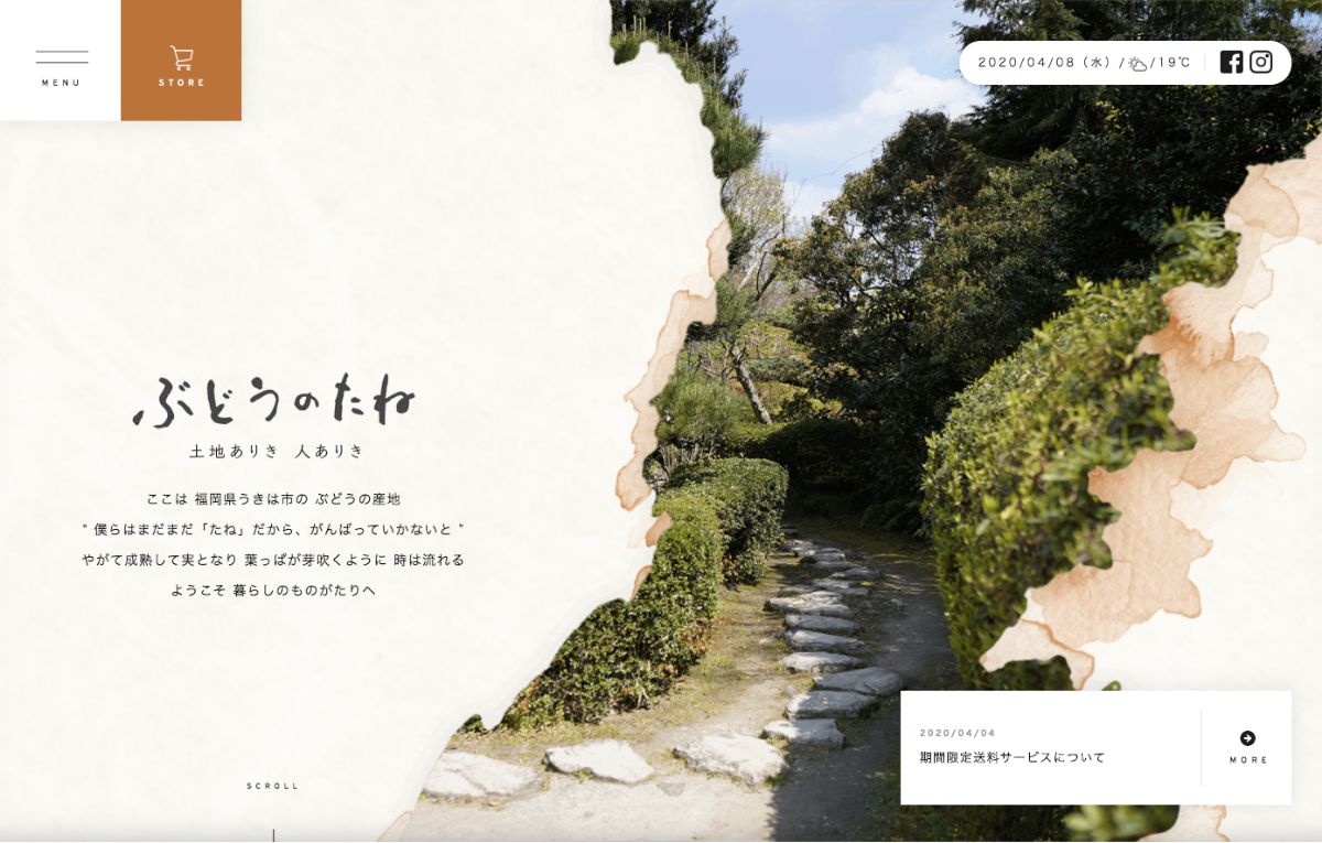 BUDOU NO TANE cover image