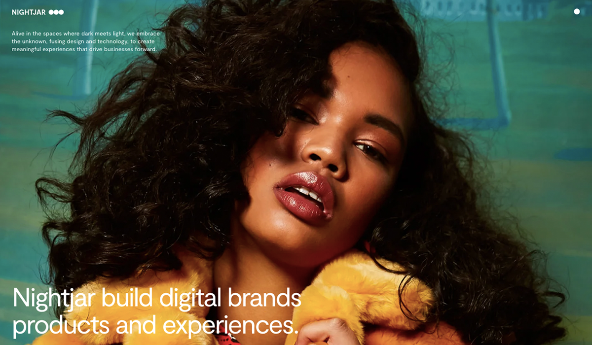 Nightjar cover image