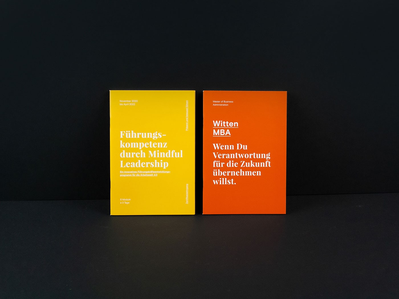 University Witten/Herdecke Brochure cover image