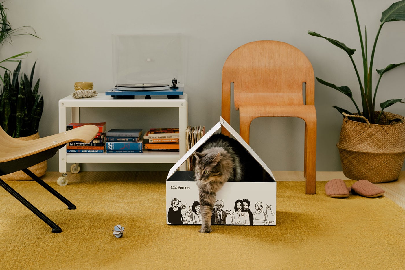 Cat Person cover image