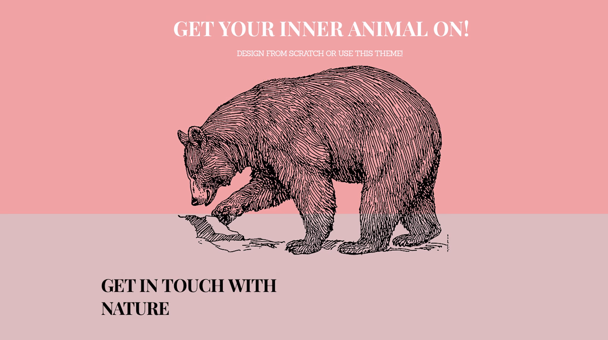 Animus Zoo Landing Page cover image
