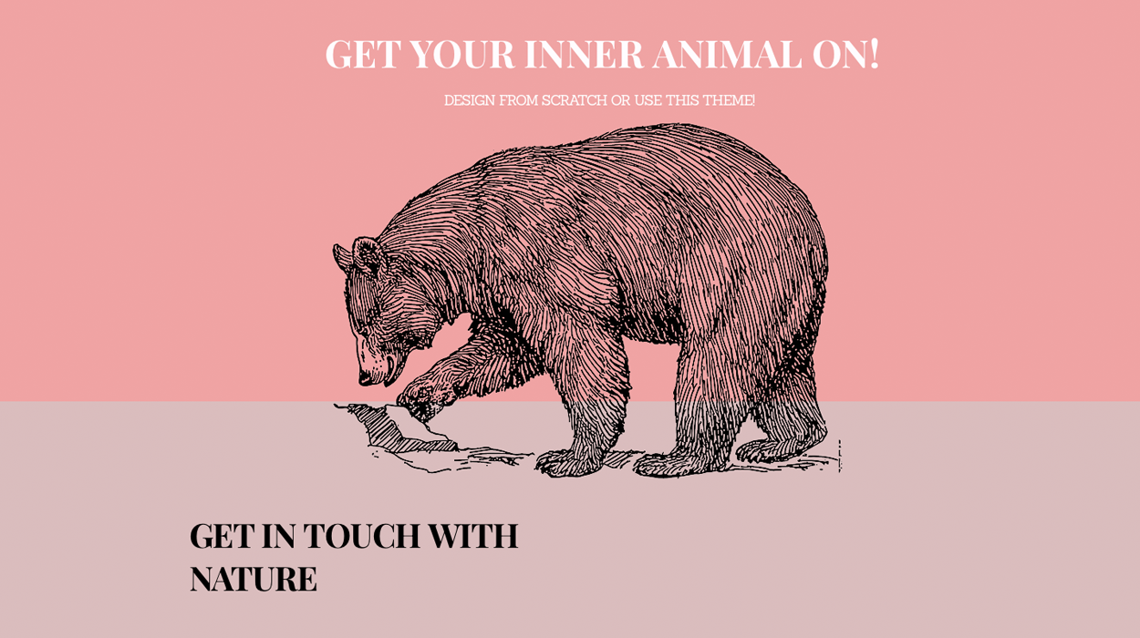 Animus Zoo Landing Page cover image