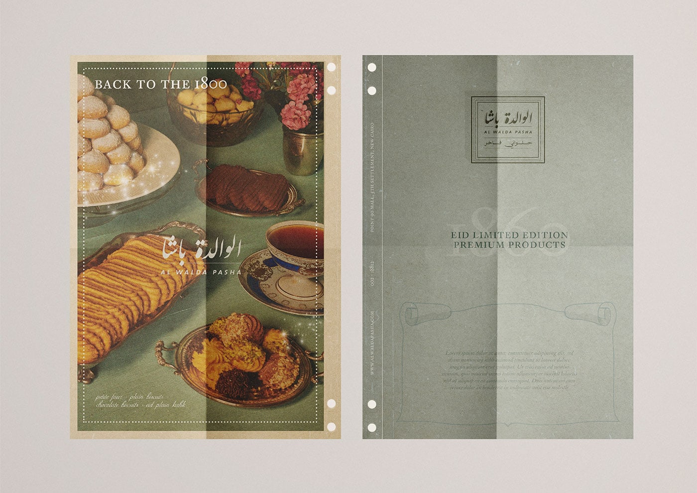 Al Walda Pasha Branding cover image