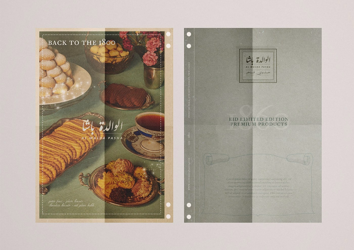 Al Walda Pasha Branding cover image