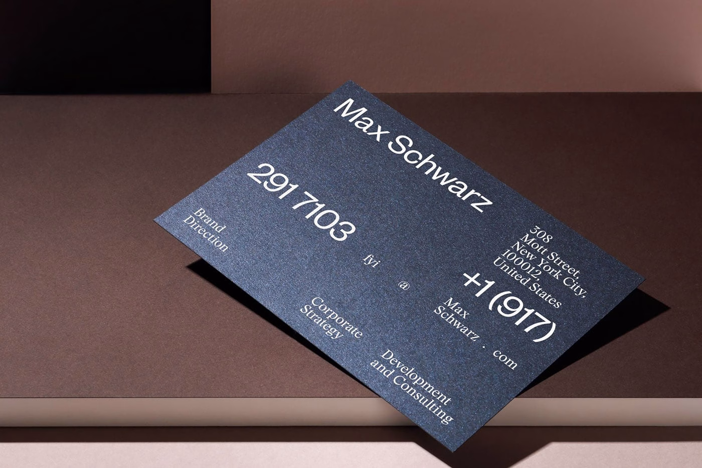 Max Schwarz cover image