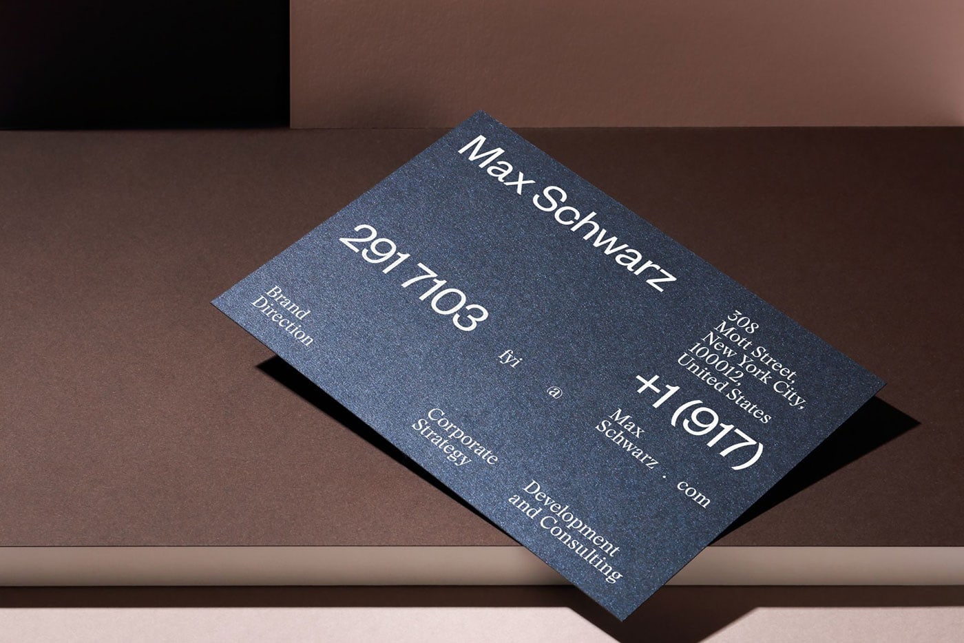 Max Schwarz cover image