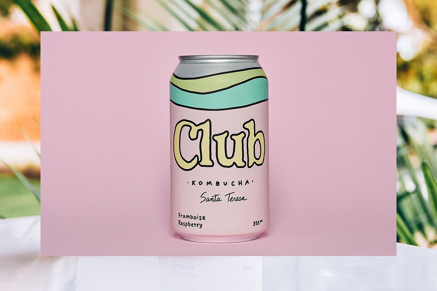 Santa Teresa Fest 2019 cover image