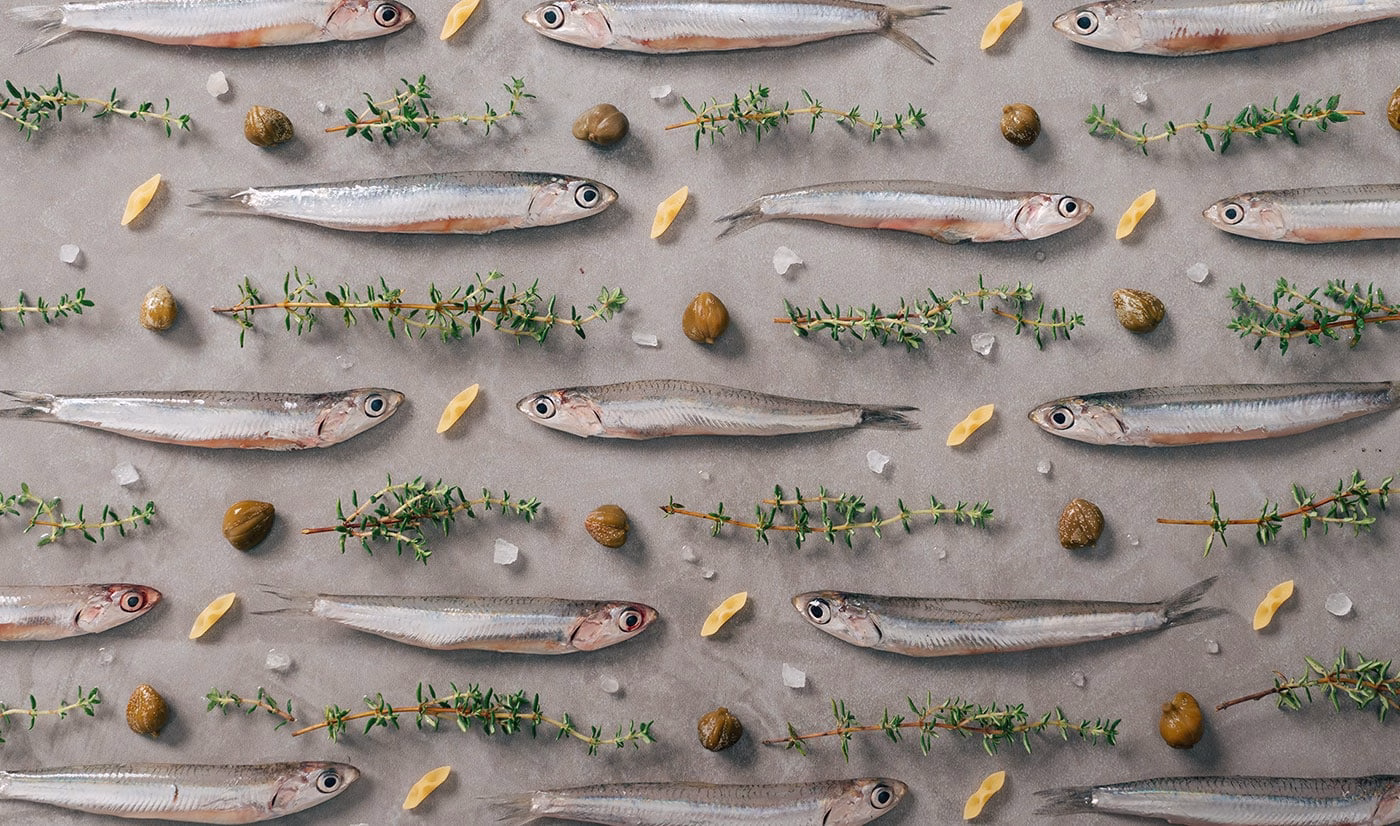 Barilla Textured Recipes cover image