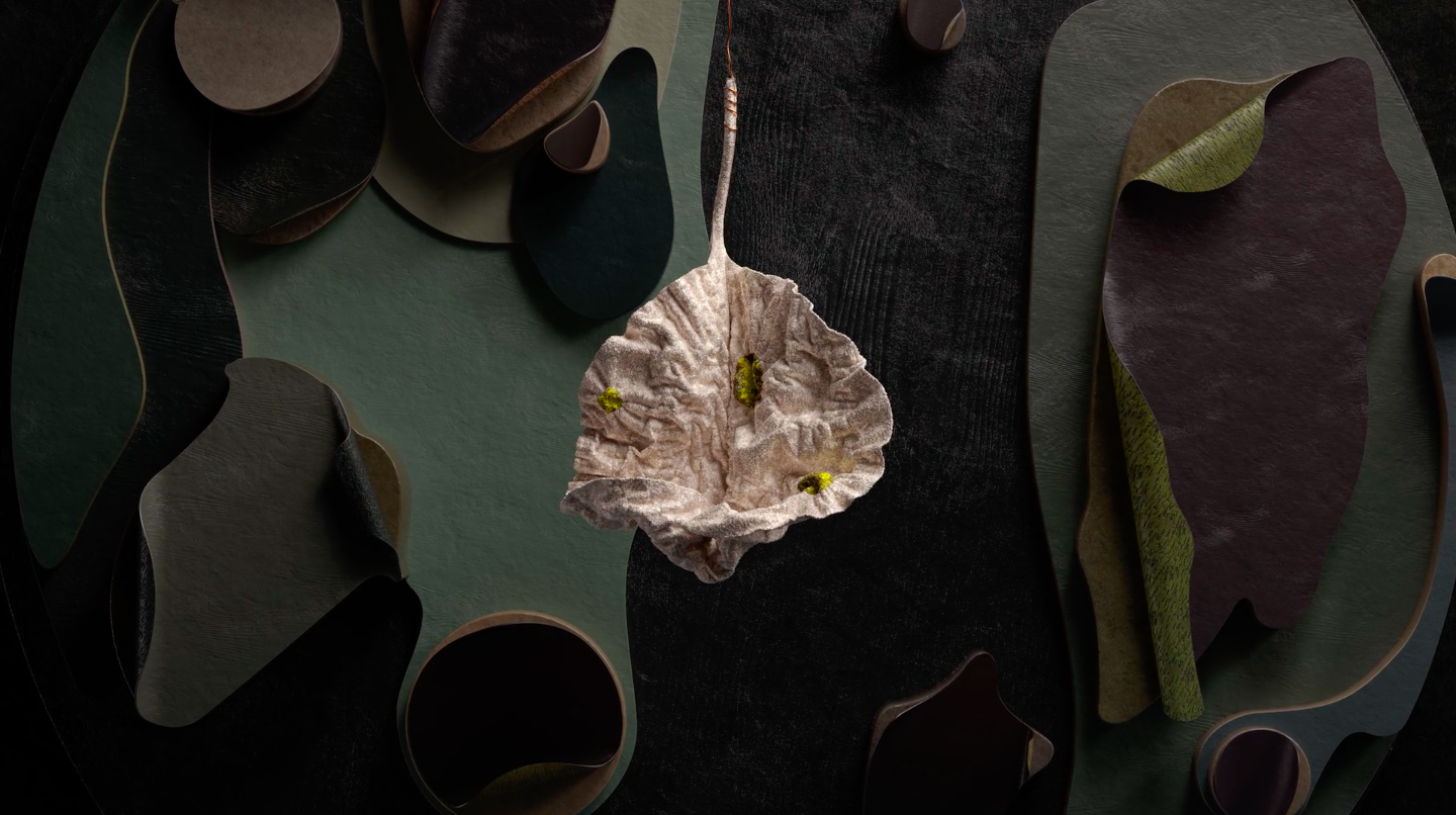 Van Ham cover image