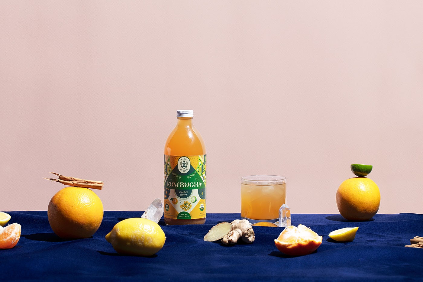 Vida Bebida cover image