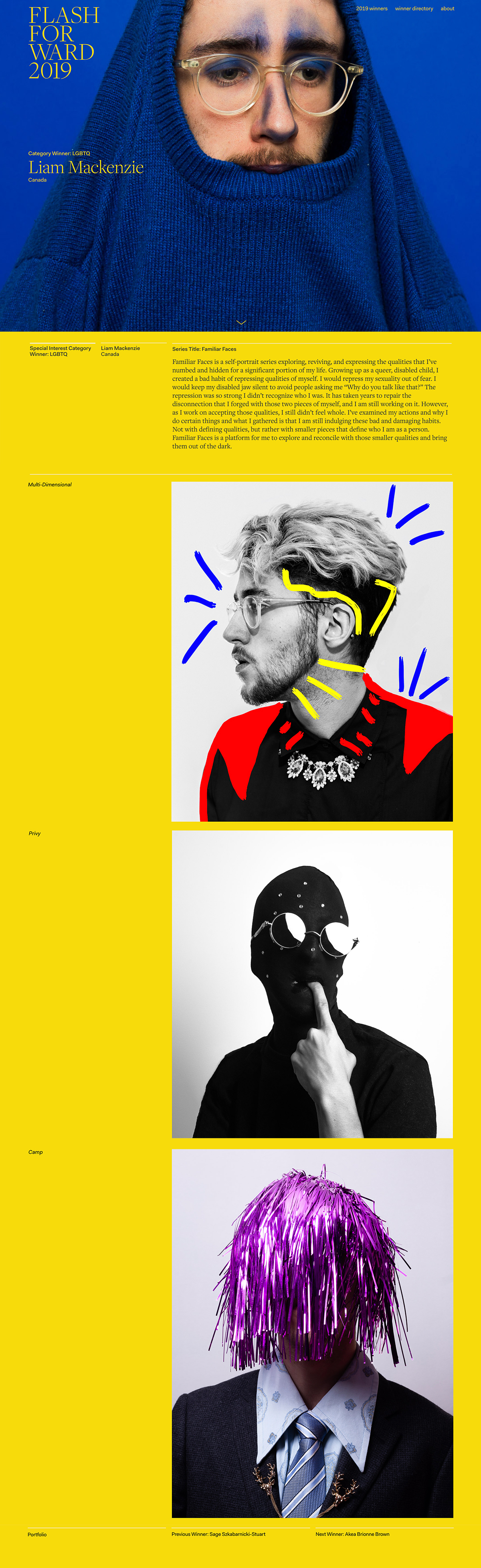 Flash Forward 2019 cover image