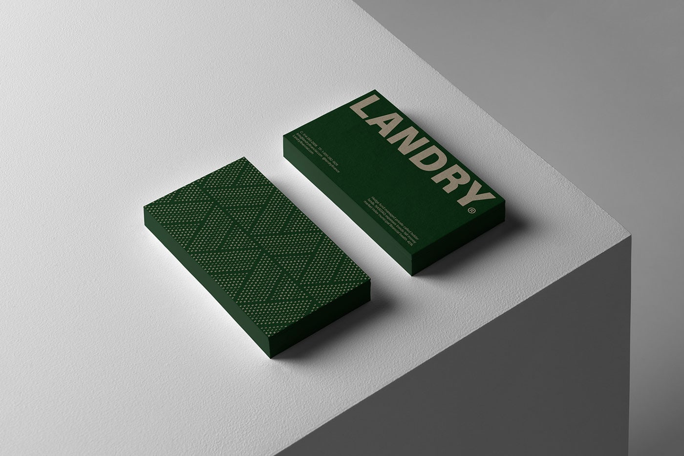 Landry Branding cover image