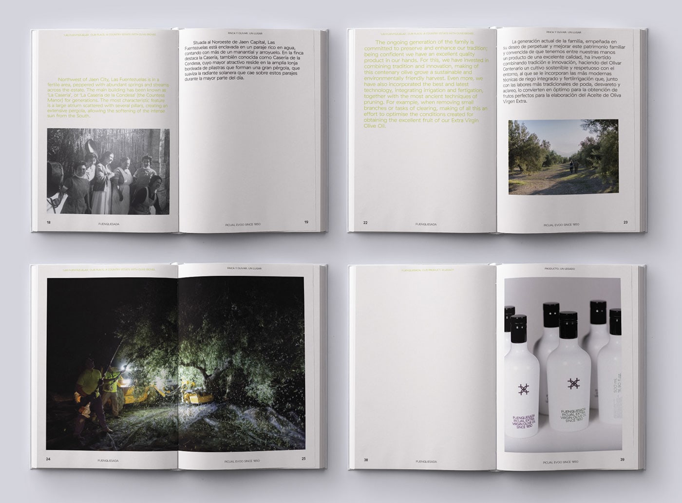 Fuenquesada cover image