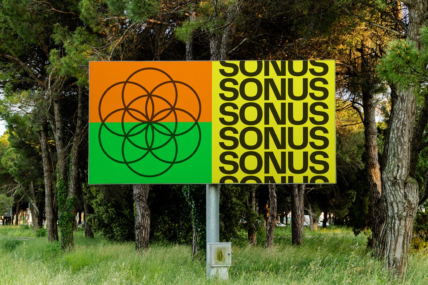 Sonus Festival cover image