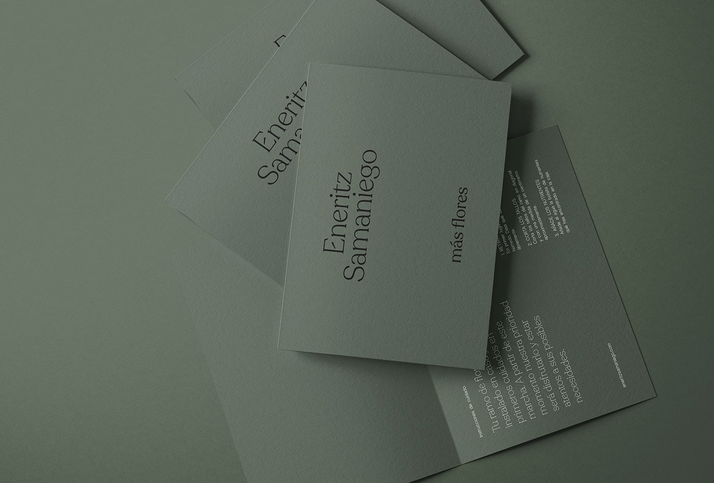 Eneritz Samaniego cover image